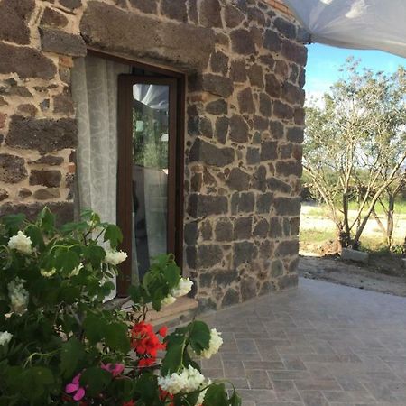 Villa Sa Domo De Mannoi Su Catreathu Orosei Exterior foto